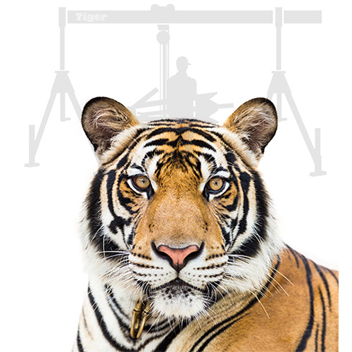 Tiger-Stapleranbaugeraete-Eyecatcher