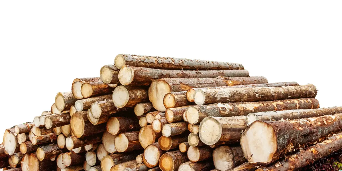 TigerHebezeuge-Shop Lastarten Baumstämme