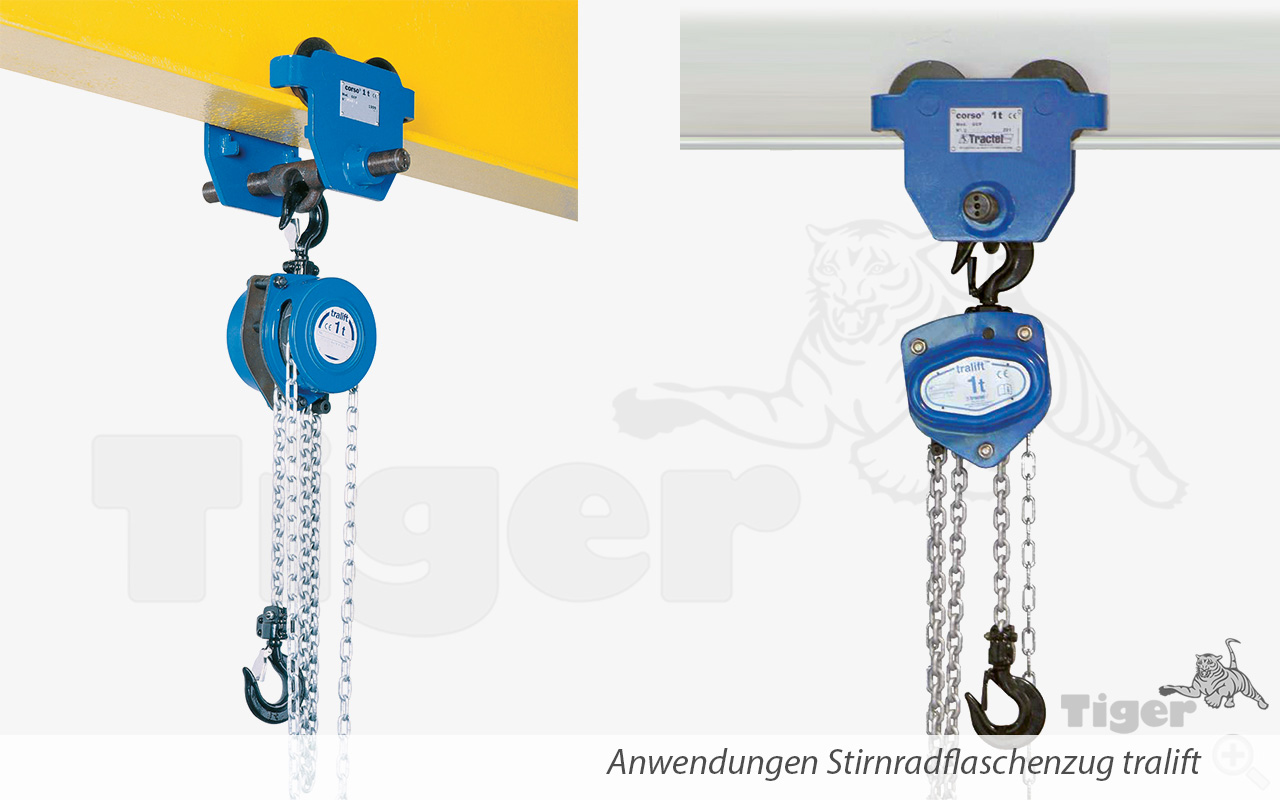 2. Produktbild zu stirnradflaschenzug tralift anwendung