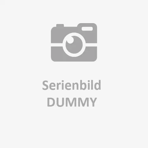 Produktbild von Dies ist das Feld H1 der Dummy-Serie-1 Serie Dummy-Serie-1 tigerhebezeuge-shop-dummybild-serie